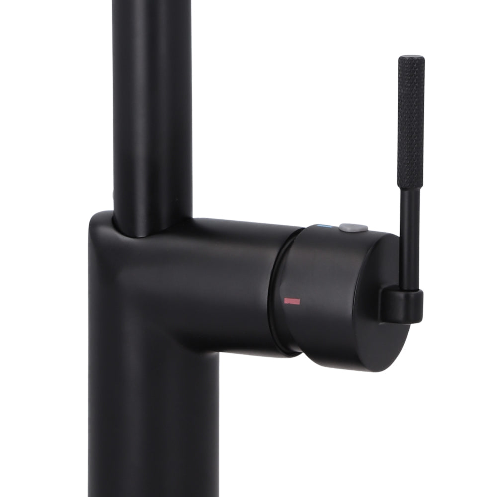 Monomando Lavaplatos Amalfi Negro Mate