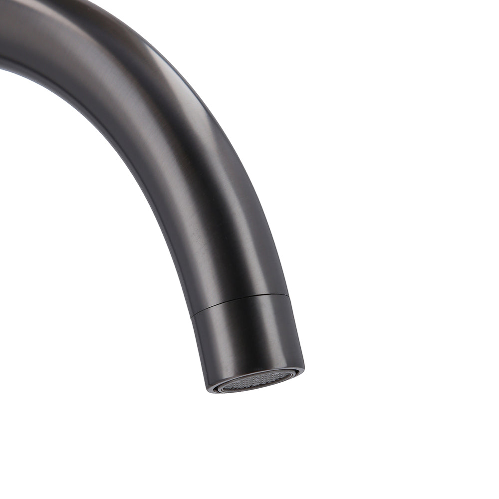 Monomando Lavaplatos Filippo Grafito Austral