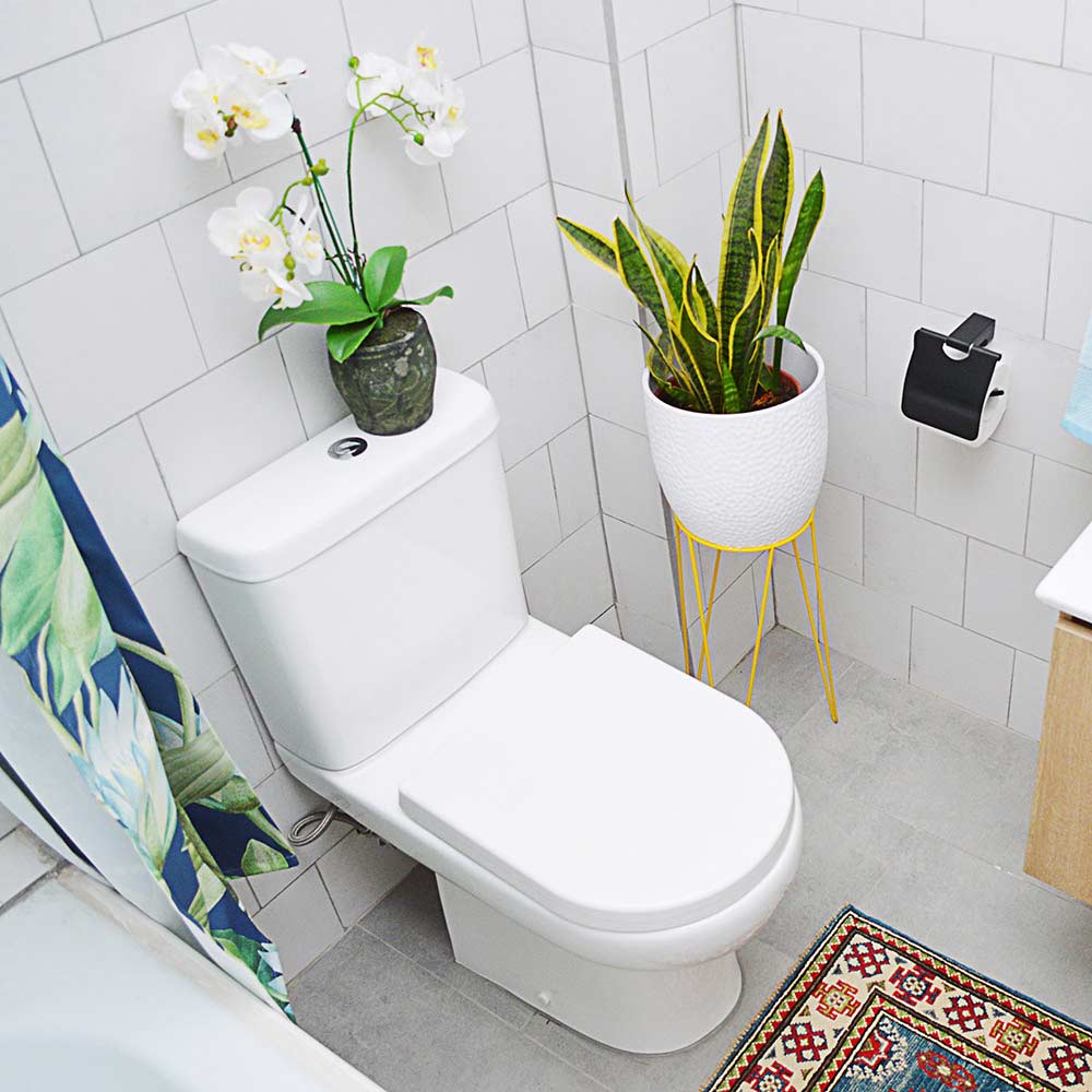 Sanitario Wc Completo Ares - Descarga a Muro (Horizontal)